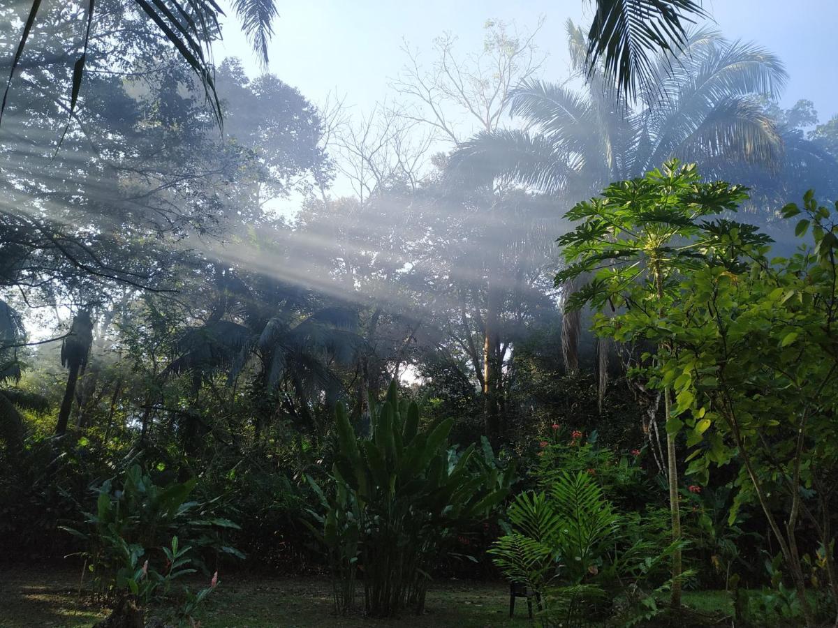 Four Monkeys Eco Lodge Jungle & Beach - The House Cabo Matapalo Exterior foto