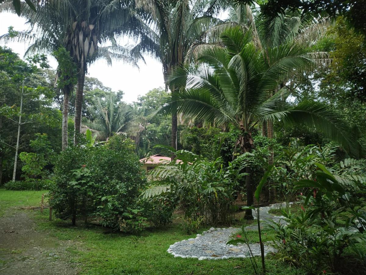 Four Monkeys Eco Lodge Jungle & Beach - The House Cabo Matapalo Exterior foto