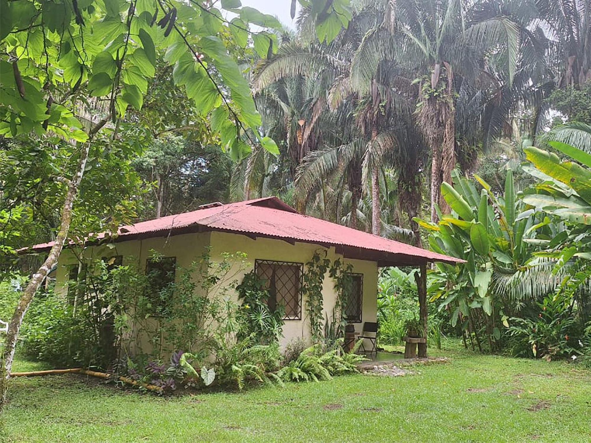 Four Monkeys Eco Lodge Jungle & Beach - The House Cabo Matapalo Exterior foto