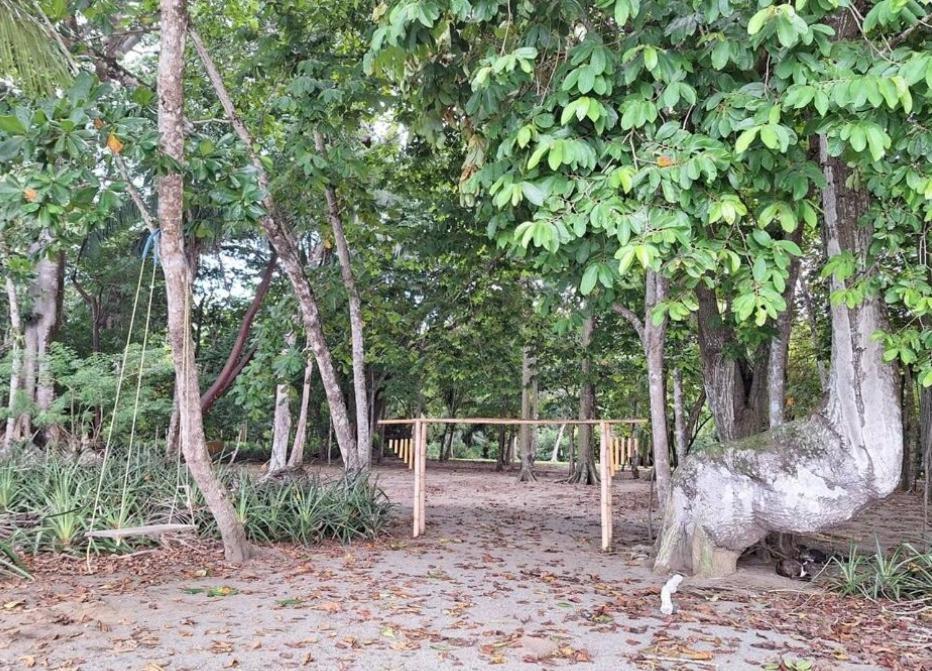 Four Monkeys Eco Lodge Jungle & Beach - The House Cabo Matapalo Exterior foto