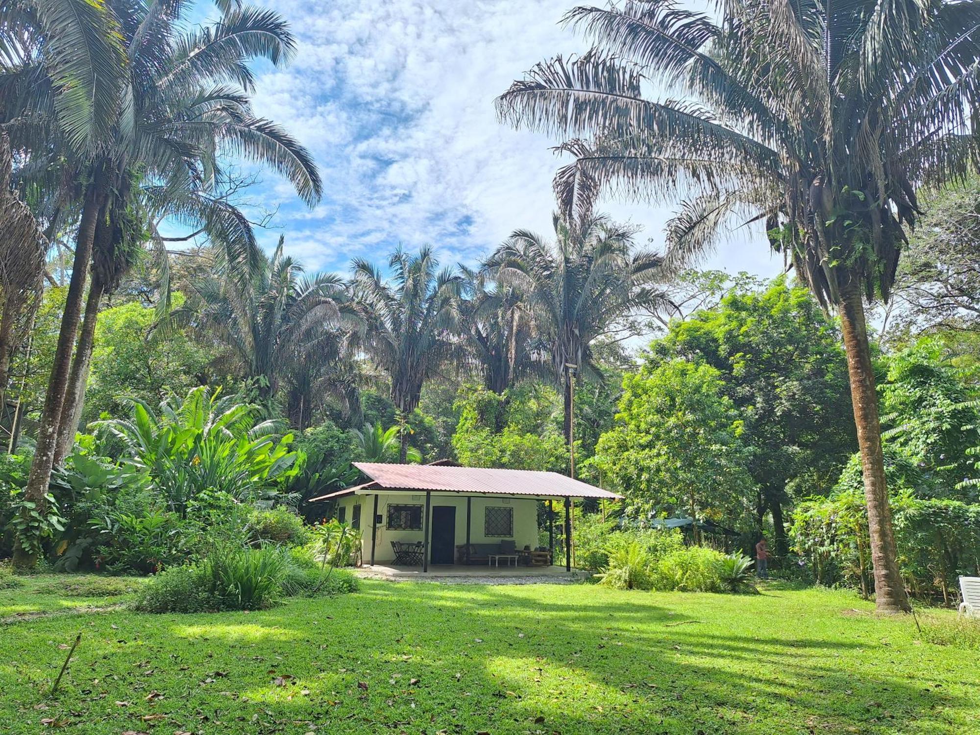 Four Monkeys Eco Lodge Jungle & Beach - The House Cabo Matapalo Exterior foto